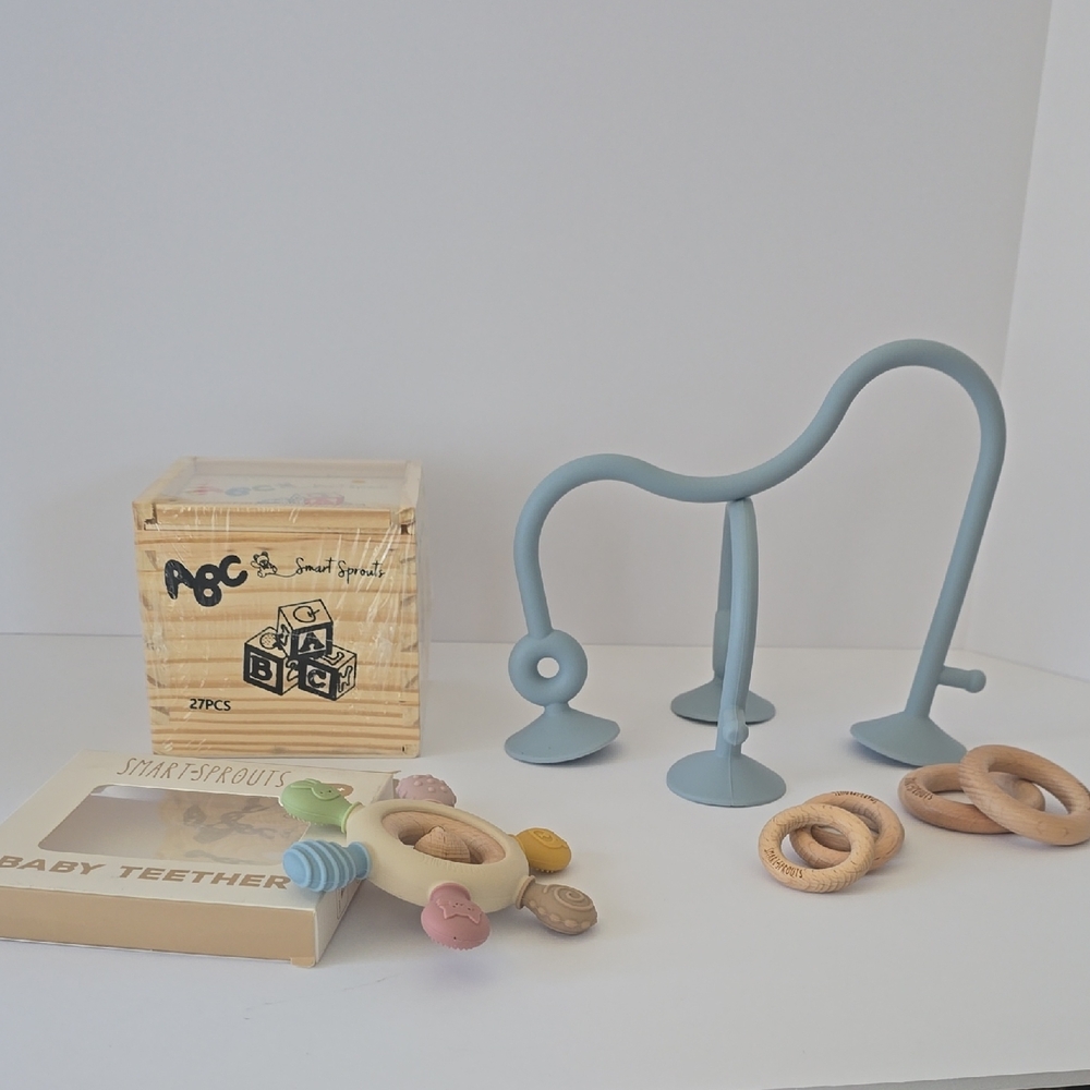 Smart Sprouts- Teether, On-the-go Suction Table Toy, and Wooden Blocks